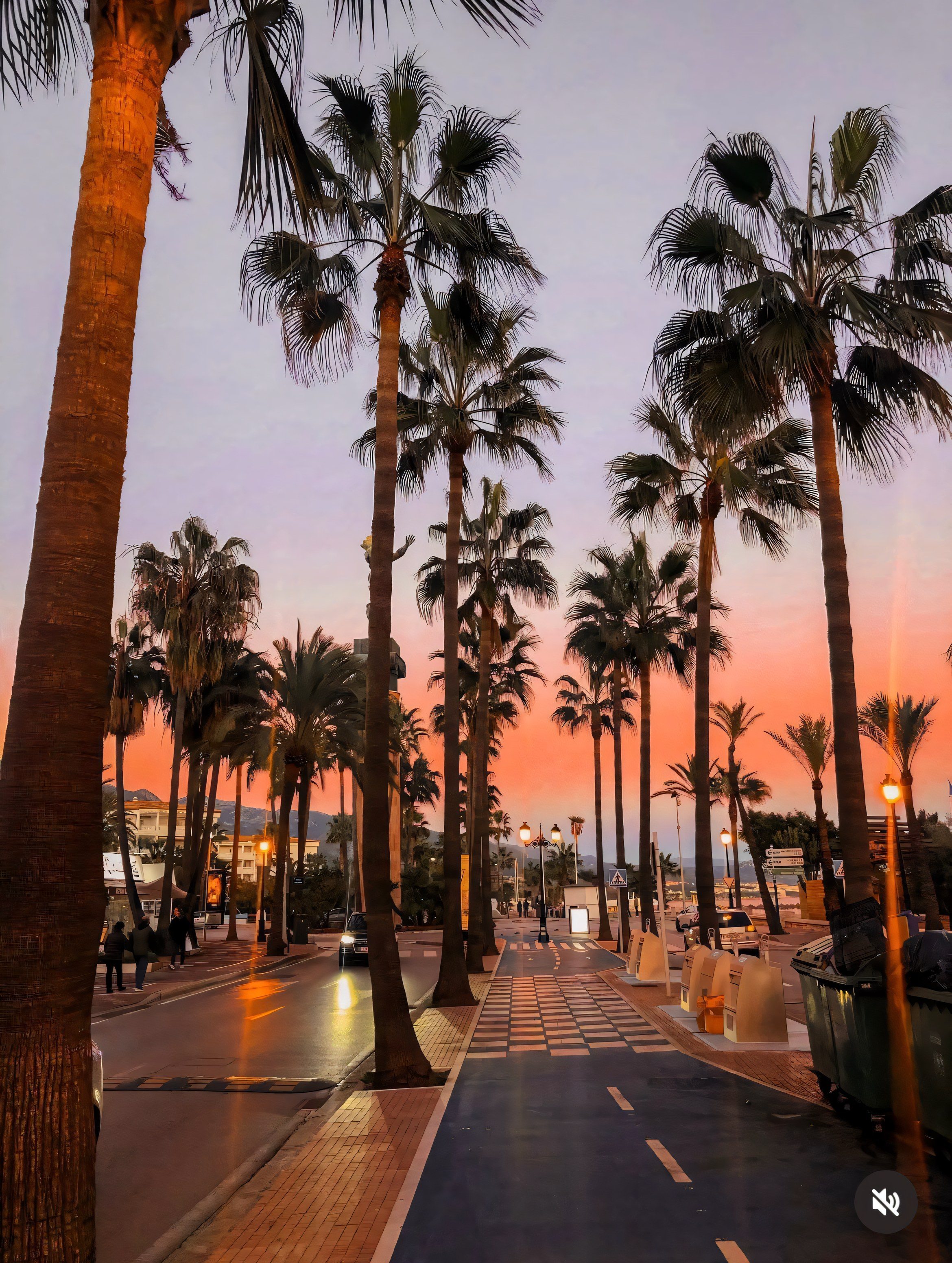 Avenida de palmeras en Marbella al atardecer
